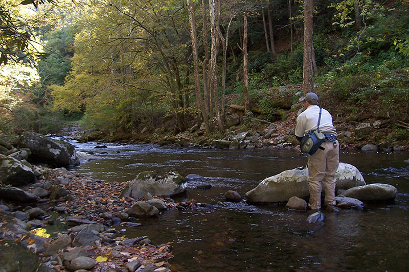 Fob Fightmaster fly fishing in a Smokies stream.
